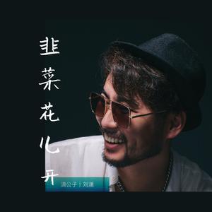 r星每日大赛寸止挑战
